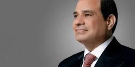 الرئيس السيسى يوجه بضرورة مواصلة العمل على تعظيم العائد من أصول الدولة - هرم مصر