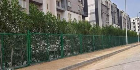 مقلب القمامة يؤذي السكان - هرم مصر