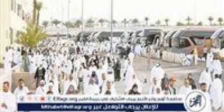 وزارة التضامن تستلم 283 حافلة استعدادًا لتصعيد الحجاج إلى عرفات - هرم مصر