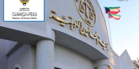 «الشؤون» تطالب «المحامين» شطب أحد منتسبيها بعد حبسه 6 أشهر - هرم مصر