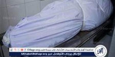 مصرع شخصين وإصابة 3 آخرين صدمتهم تريلا بالخصوص - هرم مصر