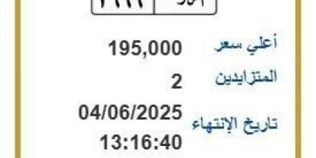 بسعر 195 ألف جنيه.. المرور تطرح التزايد على لوحة سيارة مميزة - هرم مصر