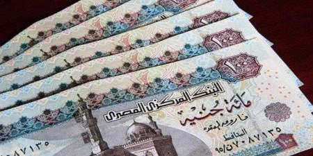 اليوم وغدا.. البنك المركزي يطرح أذون خزانة بقيمة 150 مليار جنيه - هرم مصر