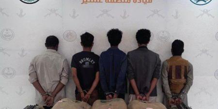 ضبط 5 أشخاص لمحاولتهم تهريب كمية من نبات القات المخدر بمنطقة عسير - هرم مصر