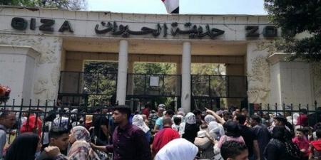 رسميًا.. موعد افتتاح حديقة الحيوان بالجيزة بعد إغلاقها 18 شهرًا - هرم مصر