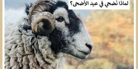 لماذا نُضحي في العيد ؟ تعرف على الحكمة من الاضحية #دا_الافتاء #دين_وحياة - هرم مصر