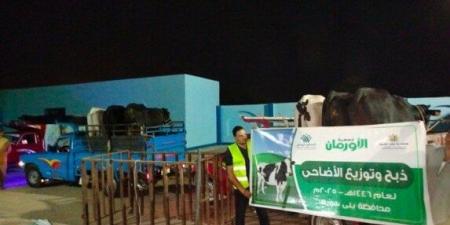 «الأورمان» تذبح 45 عجلًا في بني سويف وتستعد لتوزيع 50 طن لحوم على الأسر الأكثر احتياجًا - هرم مصر