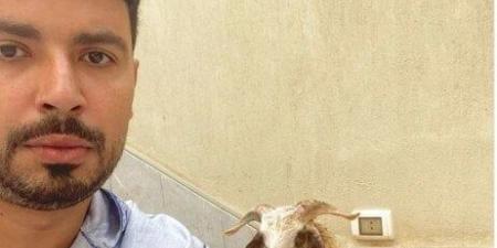 «هيموتوك يا غبي اهرب».. محمد أنور يحتفل بعيد الأضحى على طريقته - هرم مصر