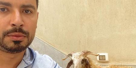 بطريقة كوميدية.. محمد أنور يهنئ جمهوره بالعيد - هرم مصر