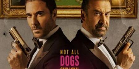طرح برومو فيلم The Seven Dogs لـ كريم عبد العزيز وأحمد عز - هرم مصر