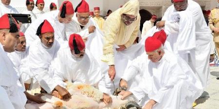 لأول مرة .. المغرب يُلغي شعيرة الأضحية وسط إقبال على اللحوم البيضاء والديك الرومي - هرم مصر