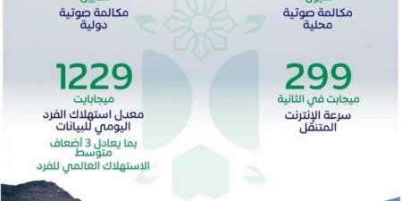 هيئة الاتصالات: (22) مليون مكالمة و(3 ) أضعاف متوسط الاستهلاك العالمي للبيانات يوم عيد الأضحى - هرم مصر