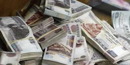وزير المالية يعلن مواعيد صرف مرتبات شهر يونيو للعاملين بالحكومة..تفاصيل - هرم مصر