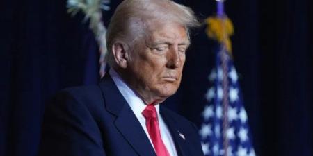 عميل أمريكي حاول تسريب معلومات لـ ألمانيا بسبب استيائه من إدارة ترامب - هرم مصر
