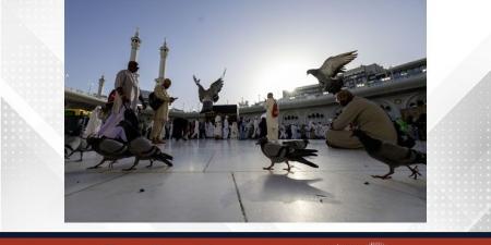 (واس) تخص (بنا) بصورة مميزة من أطهر بقاع الأرض - هرم مصر