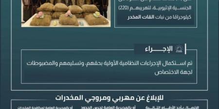 القبض على (11) مخالفًا لتهريبهم (220) كجم من القات بـالربوعة - هرم مصر