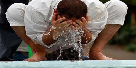 هل يجب الوضوء عند أكل لحم الإبل؟.. دار الإفتاء تجيب - هرم مصر