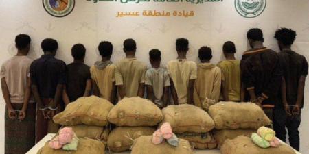 ضبط (11) شخصا لمحاولتهم تهريب كمية من نبات القات المخدر بمنطقة عسير - هرم مصر