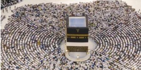 أمن "الحج" بالمدينة: جاهزون لاستقبال الحجاج القادمين من مكة - هرم مصر
