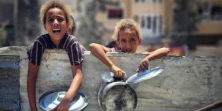 عشرات المصابين قرب مركز توزيع مساعدات فى غزة - هرم مصر