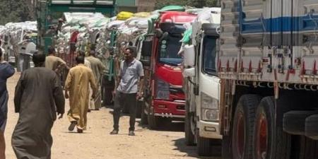 محافظ المنوفية يتابع منظومة توريد القمح ويؤكد توريد 105ألف طن - هرم مصر