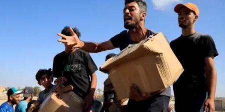 الأمم المتحدة: معظم مساعدات الطحين إلى غزة نُهبت أو استولت عليها جموع جائعة - هرم مصر
