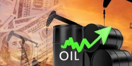النفط يرتفع قرابة (1%) عند التسوية - هرم مصر