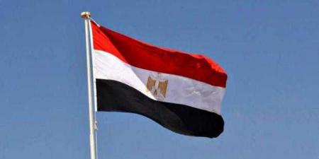 مصر تعرب عن خالص تعازيها فى ضحايا حادث إطلاق نار بجمهورية النمسا - هرم مصر
