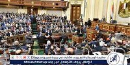 النواب ينتصر للمرأة بإجازة وضع 4 شهور بمشروع قانون العمل (تفاصيل) - هرم مصر