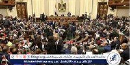 ما هي المواد المنظمة للاستشكال في التنفيذ بمشروع قانون الإجراءات الجنائية؟ - هرم مصر