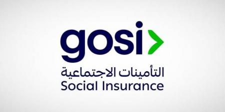 12.4 مليون مشترك في التأمينات - هرم مصر