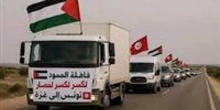 قافلة "الصمود".. اختبار للمواقف الإقليمية وتحرك شعبي يعيد الزخم للقضية الفلسطينية(تقرير) - هرم مصر
