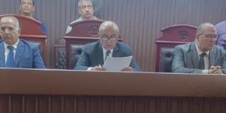 المشدد 6 سنوات وغرامة 100 ألف جنيه لعامل بشبرا الخيمة - هرم مصر