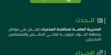 القبض على شخص بالجوف روّج مادتي الحشيش والإمفيتامين - هرم مصر