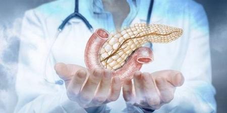 علامات لا يجب تجاهلها قد تنذر بأمراض البنكرياس #الصحة #منوعات #اخبار_الصحة #اخبار_منوعة #لايف_ستايل #الجمهورية_أون_لاين - هرم مصر