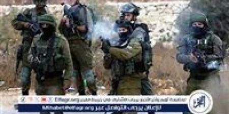 الجيش الإسرائيلي يعلن القضاء على قائد سلاح الجو التابع للحرس الثوري الإيراني - هرم مصر