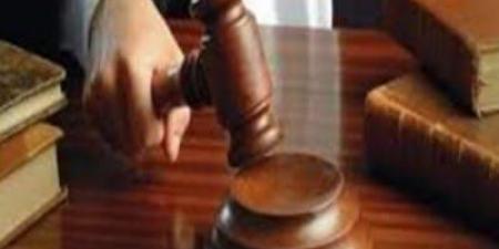 السجن المشدد 15 سنة لسائق قتل شخص بطلق ناري لسرقته بالقليوبية - هرم مصر