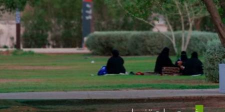 أمانة حفر الباطن تصين (552,000) م2 من الحدائق والمسطحات الخضراء - هرم مصر