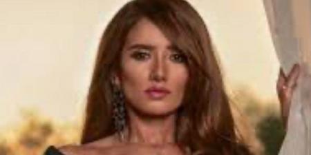 استدعاء فرد أمن.. تطور جديد في مطاردة كلب لطفلي الفنانة زينة بالشيخ زايد - هرم مصر