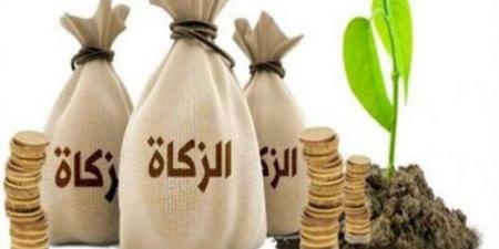 كيف تحسب الزكاة على المال المتزايد  #دين وحياة #دار الإفتاء - هرم مصر