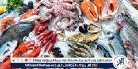 أسعار المأكولات البحرية والجمبري اليوم الاحد 15-6-2025 في محافظة قنا - هرم مصر