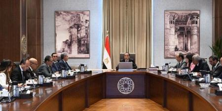رئيس الوزراء يتابع خطط تطوير 7  فنادق تاريخية ضمن برنامج الطروحات - هرم مصر