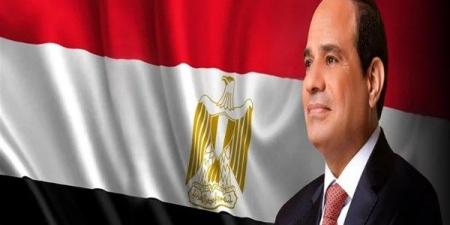برلماني: توجيهات الرئيس السيسي خطوة نحو ثورة صناعية في قطاع السيارات - هرم مصر