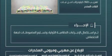 حرس الحدود بجازان يحبط تهريب 160 كيلوجرامًا من نبات القات المخدر - هرم مصر