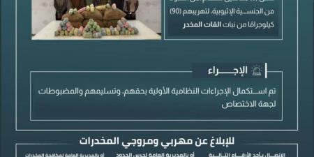 حرس الحدود بعسير يقبض على 6 مخالفين لنظام أمن الحدود لتهريبهم 90 كيلوجرامًا من نبات القات المخدر - هرم مصر