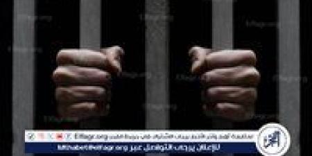المشدد 5 سنوات للمتهم بخدش حياء فتاة وتهديدها بالقليوبية - هرم مصر