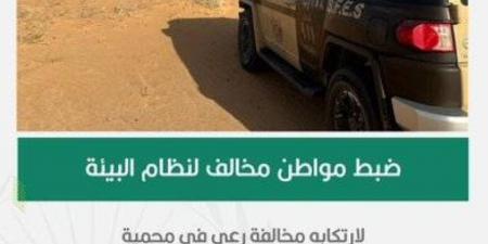 الأمن البيئي يضبط مواطنًا مخالفًا لارتكابه مخالفة رعي في محمية الإمام عبدالعزيز - هرم مصر