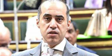 محمود فوزي للنواب: الحكومة تلتزم بشكل كامل بالنسب الدستورية المقررة بالموازنة العامة للدولة - هرم مصر