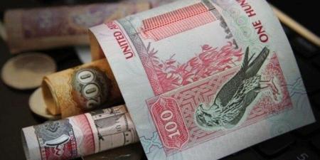 سعر الدرهم الإماراتي في مصر اليوم.. الثلاثاء 17 يونيو 2025 - هرم مصر