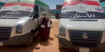 توقيع الكشف الطبى المجانى لـ1000مواطن ومواطنة بقافلة طبية بقرية المقلة بأبوالريش بأسوان - هرم مصر